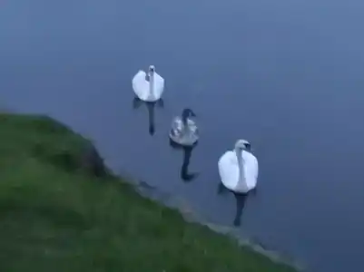 Villa Tat'yana Na Verhneozyornoj - 28