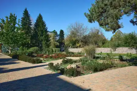 Rus Health Resort - 40