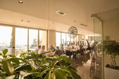 Harmonia by Dukley - 98