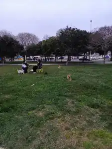 The Green Park Pendik & Convention Center - 87