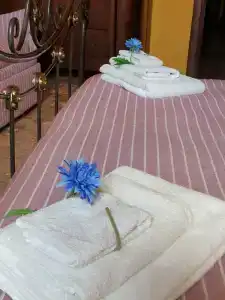 B&B A casa di Grazia - 5