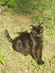 Grand Yazici Club Turban Termal - 85