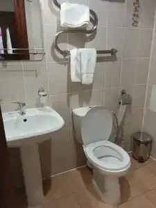 АМАКС Премьер-отель - 76