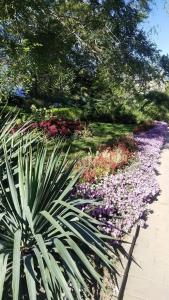 Pansionat Vyisokij Bereg - 34