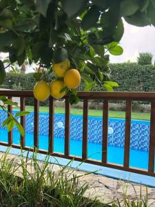 Arnor de Luxe & Spa - 26