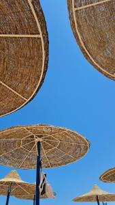 King Tut Aqua Park Beach Resort - 29