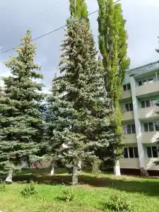 Sanatoriy-Profilaktory Olkhovka - 1