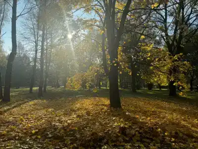 Nagornoe Holiday Home - 84