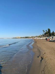 Clover Magic Park Side Otel - 21