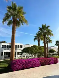 Maritim Jolie Ville Resort & Casino - 52