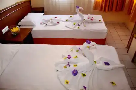 Elegant Baronessa Apart - 7