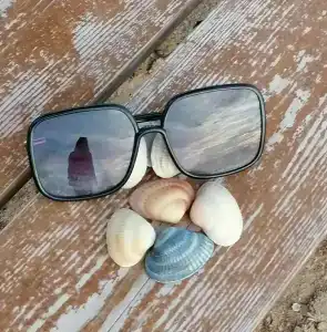 ОАЗИС домики - 79