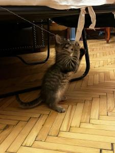 Koryushka Poshla - 57