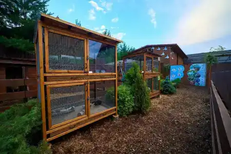 FishPoint Family Resort (Zolotoy Sazan) - 68