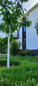 Villa kolibry - 36