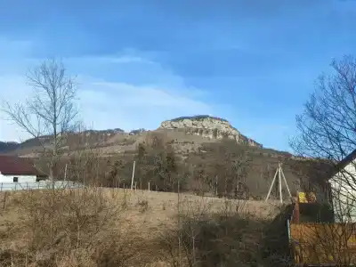Snezhnyy Bars - 93