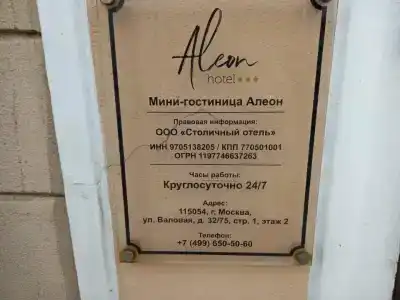 Aleon Mini-Hotel - 51