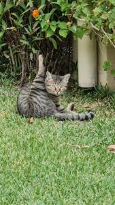 Le Jardin Resort Holiday Village - 78