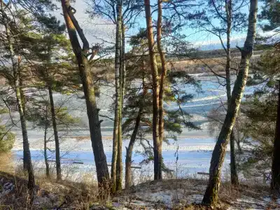 Лазурный берег на Оке - 57