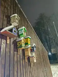 Domiki Recreation Camp - 45