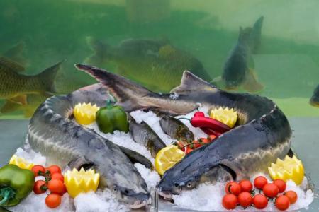 Park RAYA Garden - 40