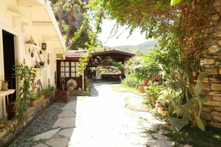 Michelangelo Boutique - 1