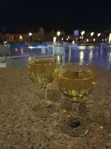 Pickalbatros Jungle Aqua Park - Neverland - 75