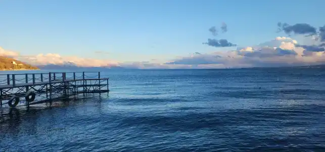 Best Western Bohemian Resort - 40