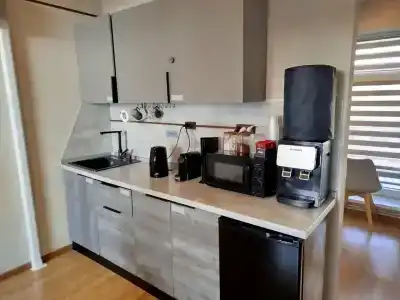 Gibrid-otel Risor - 50