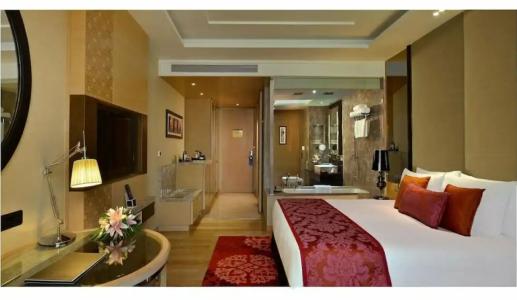 Radisson Blu Jaipur - 86