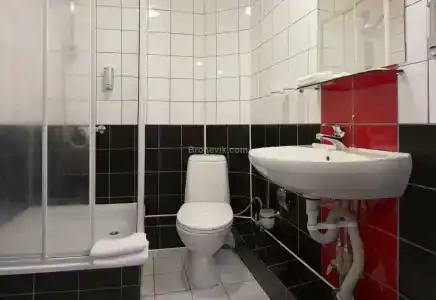 Gostinitsa Rossiya - 19