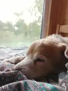 Polyana Solntsa Tourist base - 38