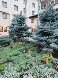 Park Inn Veliky Novgorod - 38