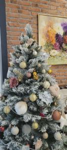 GOLD 1905, Boutique - 50