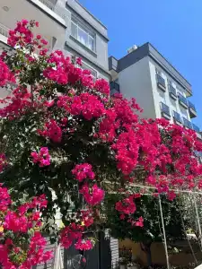 Park Rooms & Apart - 12