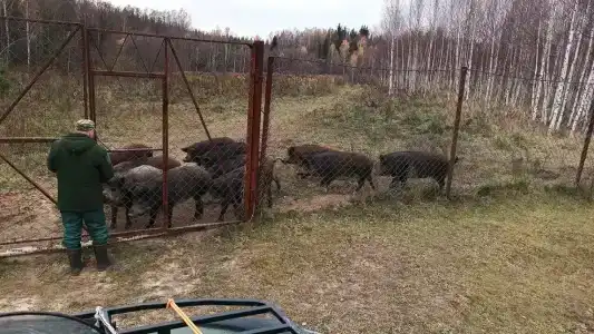 Ohotniche hozyaystvo Sechuga - 19