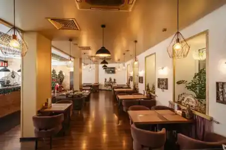 Дипломат - 22