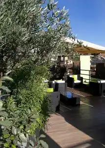 Caravita - 10