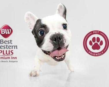 Best Western PLUS Premium Inn - 13