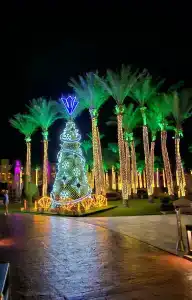 Rixos Premium Seagate - 9