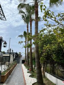 Grand Uysal Beach - 42