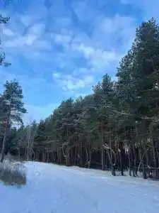 Zagorodnyy klub Ozera - 28