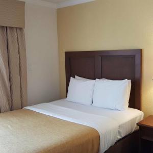 Coconut Cove All-Suite - 56