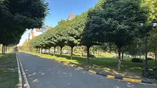 Muller Bach Apart-Hotel - 5