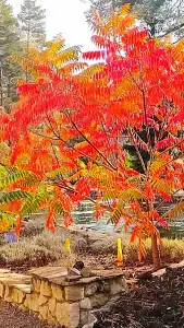 Usadba Meshcherskaya Park-Hotel - 99