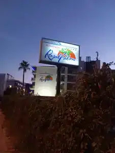 Kleopatra Royal Palm - 26