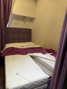 Bella Donna - 34