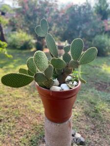 Berke Ranch&Nature - 46