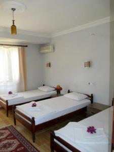 Eucalyptus Pension - 26