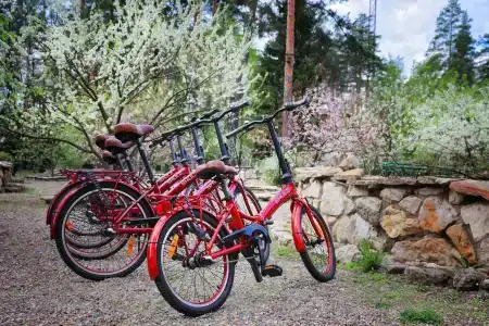 Usadba Meshcherskaya Park-Hotel - 38